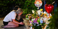 Recent Incidents Highlight Gun-Related Issues and Legal Developments