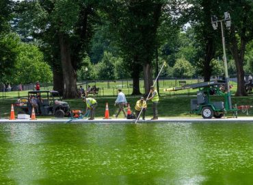 Algal Blooms Return to Reflecting Pool After Costly Repair