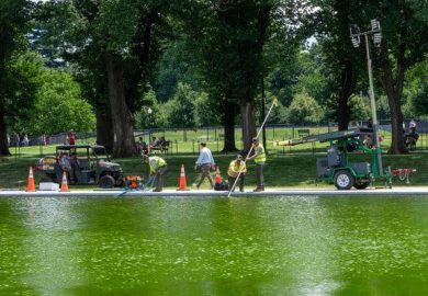 Algal Blooms Return to Reflecting Pool After Costly Repair