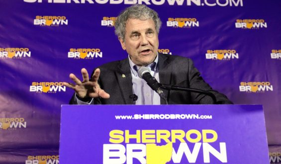 Sherrod Brown Leads Jon Husted in Ohio’s Senate Race, According to Polls