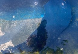 Former Olympian Challenges Vandalism Charge Related to Reflecting Pool