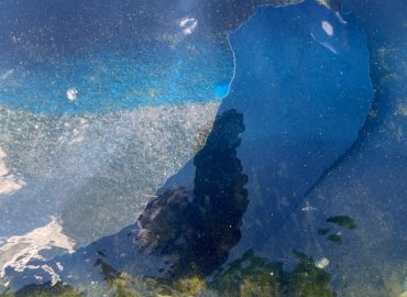 Former Olympian Challenges Vandalism Charge Related to Reflecting Pool