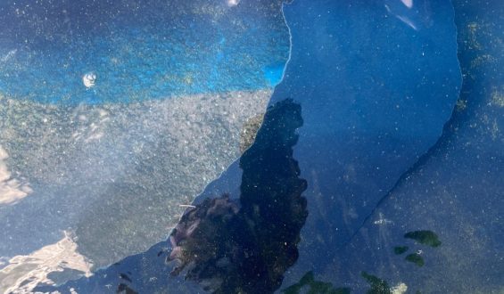 Former Olympian Challenges Vandalism Charge Related to Reflecting Pool