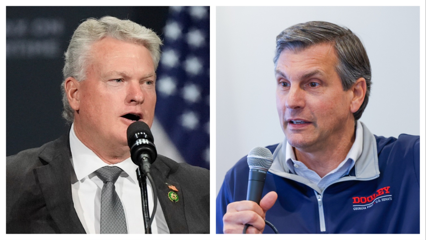 Georgia Primary Runoff: Collins vs. Dooley