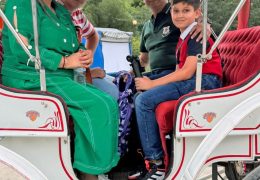 Tragic Accident in Central Park Spurs Safety Reforms