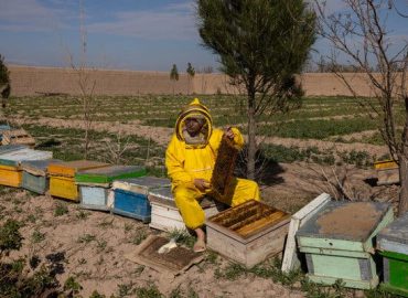 Afghan Women Turn to Entrepreneurship Amid Taliban Restrictions