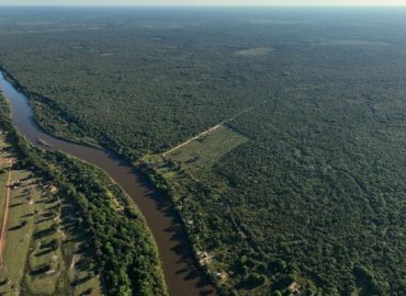Challenges of Cattle and Conservation in Brazil’s Bananal Island