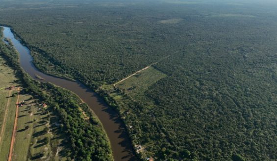 Challenges of Cattle and Conservation in Brazil’s Bananal Island