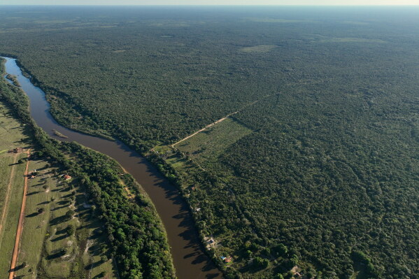 Challenges of Cattle and Conservation in Brazil’s Bananal Island