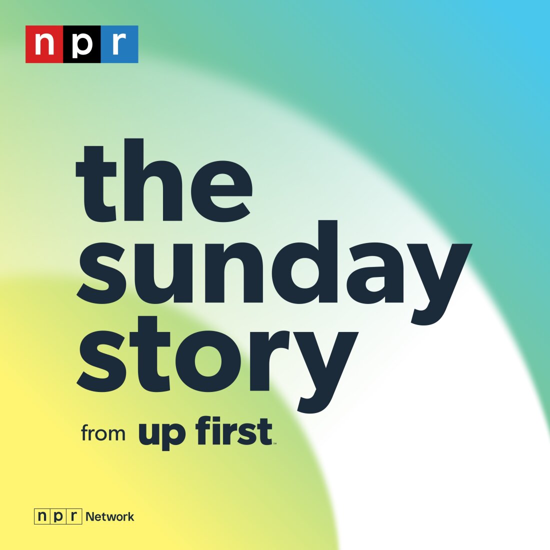 The Sunday Story from Up First