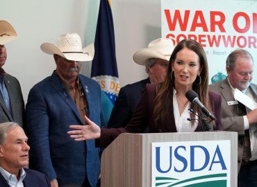 New World Screwworm Threatens South Texas Livestock