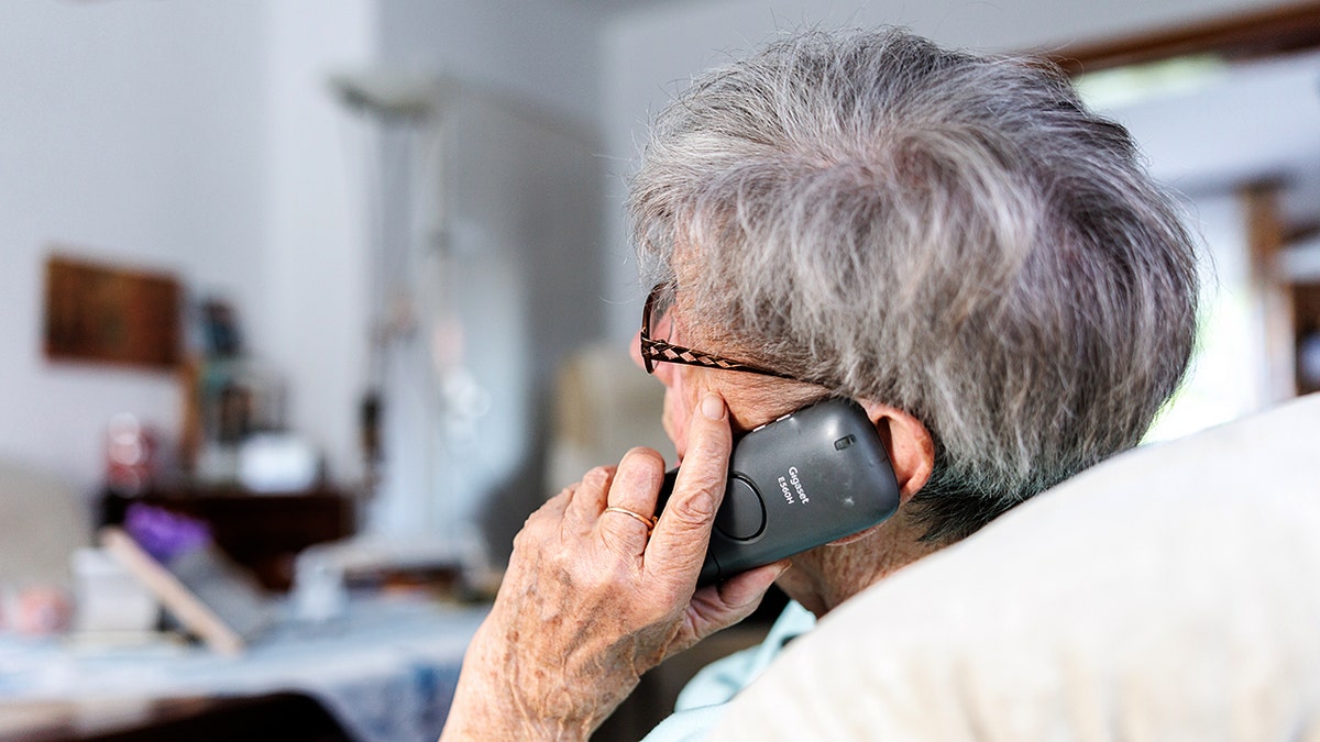 AI Voice Cloning Scams Threaten Families