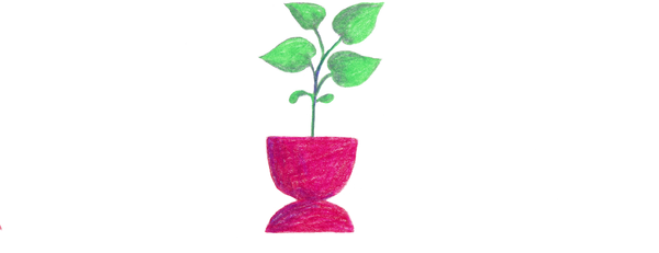 Reconnect with Nature: A Simple Summer Challenge