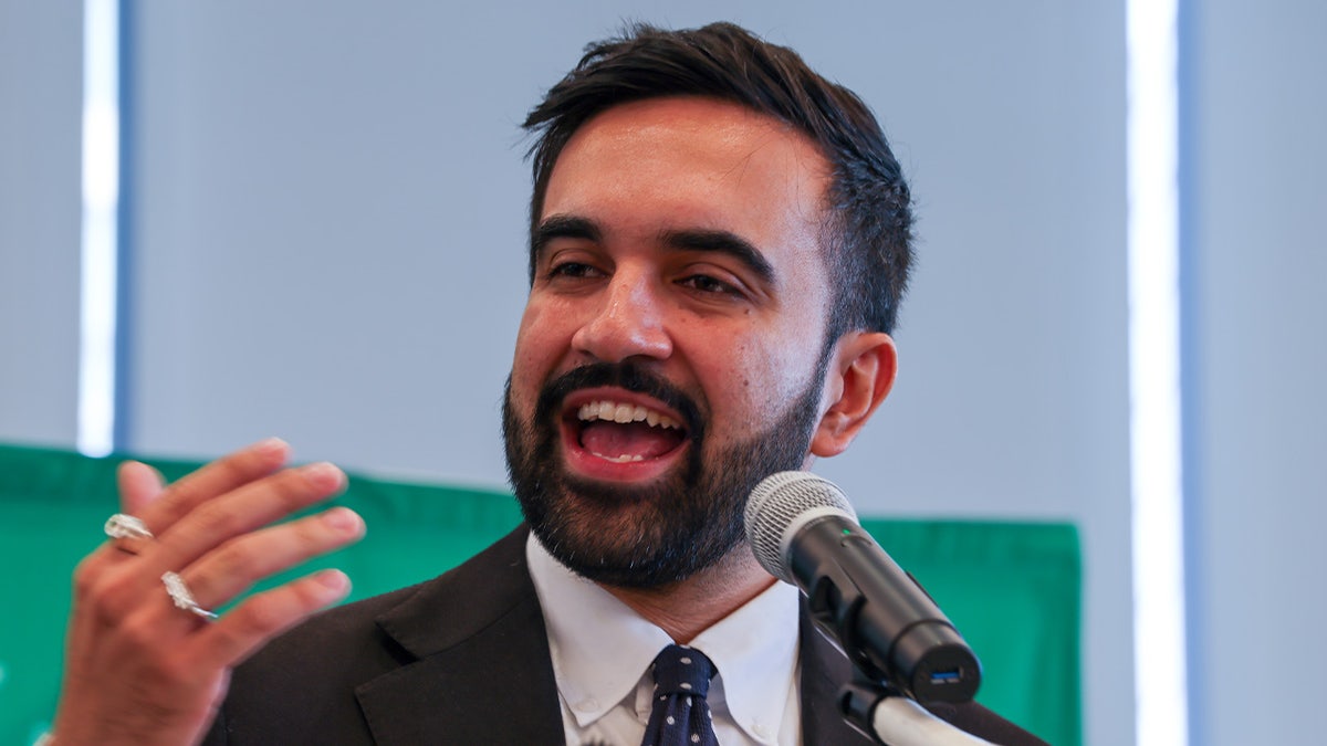 New York City Mayor Defends Democratic Socialism in National Context