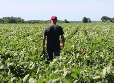 The Food Industry’s Sustainability Challenge: Moving Beyond Buzzwords