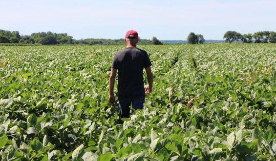 The Food Industry’s Sustainability Challenge: Moving Beyond Buzzwords
