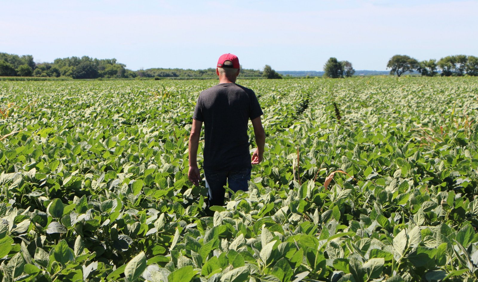 The Food Industry’s Sustainability Challenge: Moving Beyond Buzzwords