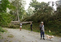 Cellphone Carriers Strengthen Preparations for Hurricane Season