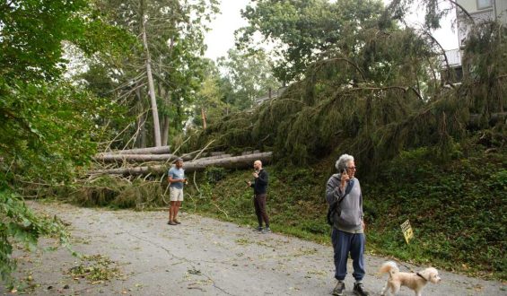 Cellphone Carriers Strengthen Preparations for Hurricane Season