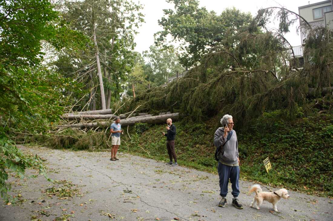 Cellphone Carriers Strengthen Preparations for Hurricane Season