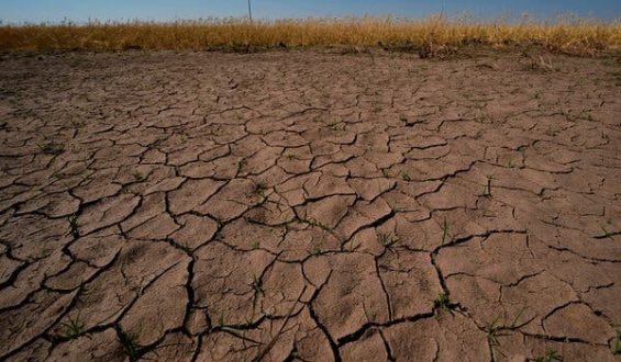 NOAA Declares El Niño Arrival With Potential Global Impact