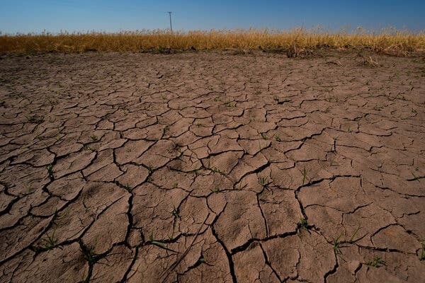 NOAA Declares El Niño Arrival With Potential Global Impact
