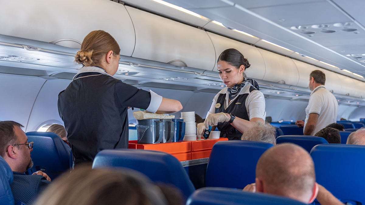Flight Attendants Urge Passengers to Avoid Touching Them for Attention