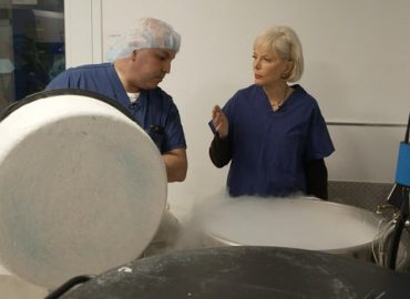 Egg Freezing: A Modern Solution to Fertility Decline?