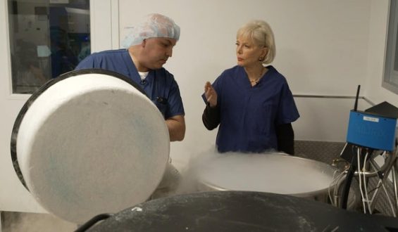 Egg Freezing: A Modern Solution to Fertility Decline?