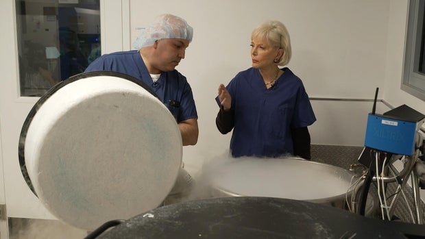 Egg Freezing: A Modern Solution to Fertility Decline?