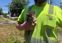 Harvey Fire Department Investigates Possible Arson on Turlington Road