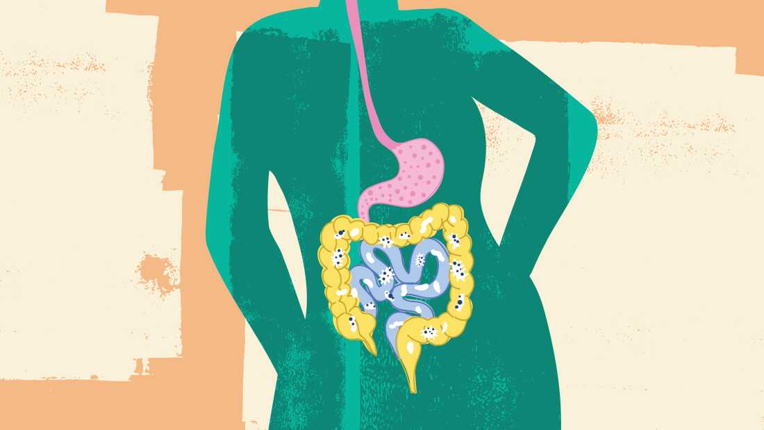 Understanding The Gut Microbiome: What Science Reveals About Its Role In Health