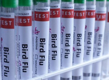 Australia Confirms First Case of H5N1 Bird Flu