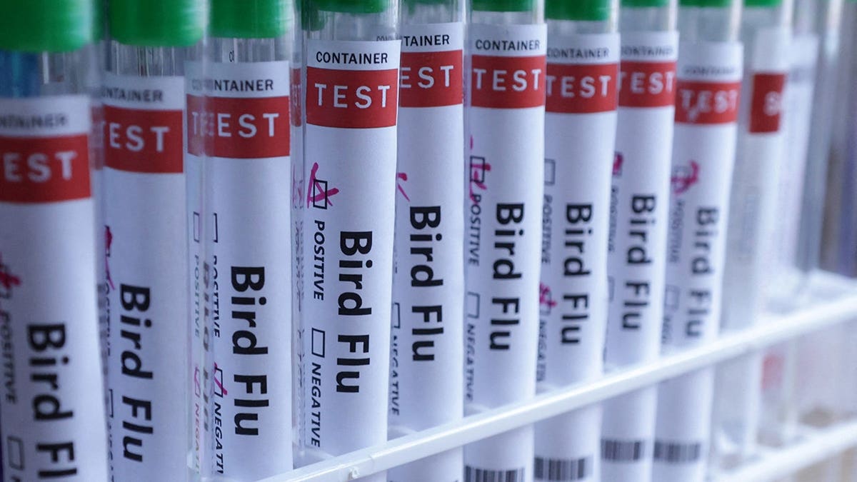 Australia Confirms First Case of H5N1 Bird Flu