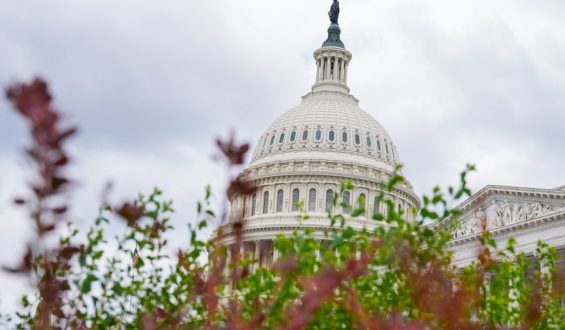 Trump’s Response to Inflation Raises Concerns Among Republicans
