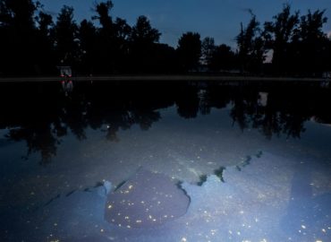 Arrest and Alleged Vandalism at Lincoln Memorial Reflecting Pool