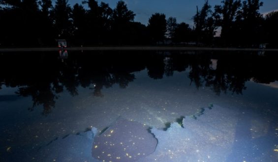 Arrest and Alleged Vandalism at Lincoln Memorial Reflecting Pool