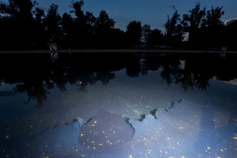 Arrest and Alleged Vandalism at Lincoln Memorial Reflecting Pool