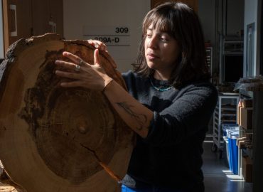 Tree Cores Reveal Historical Weather Patterns