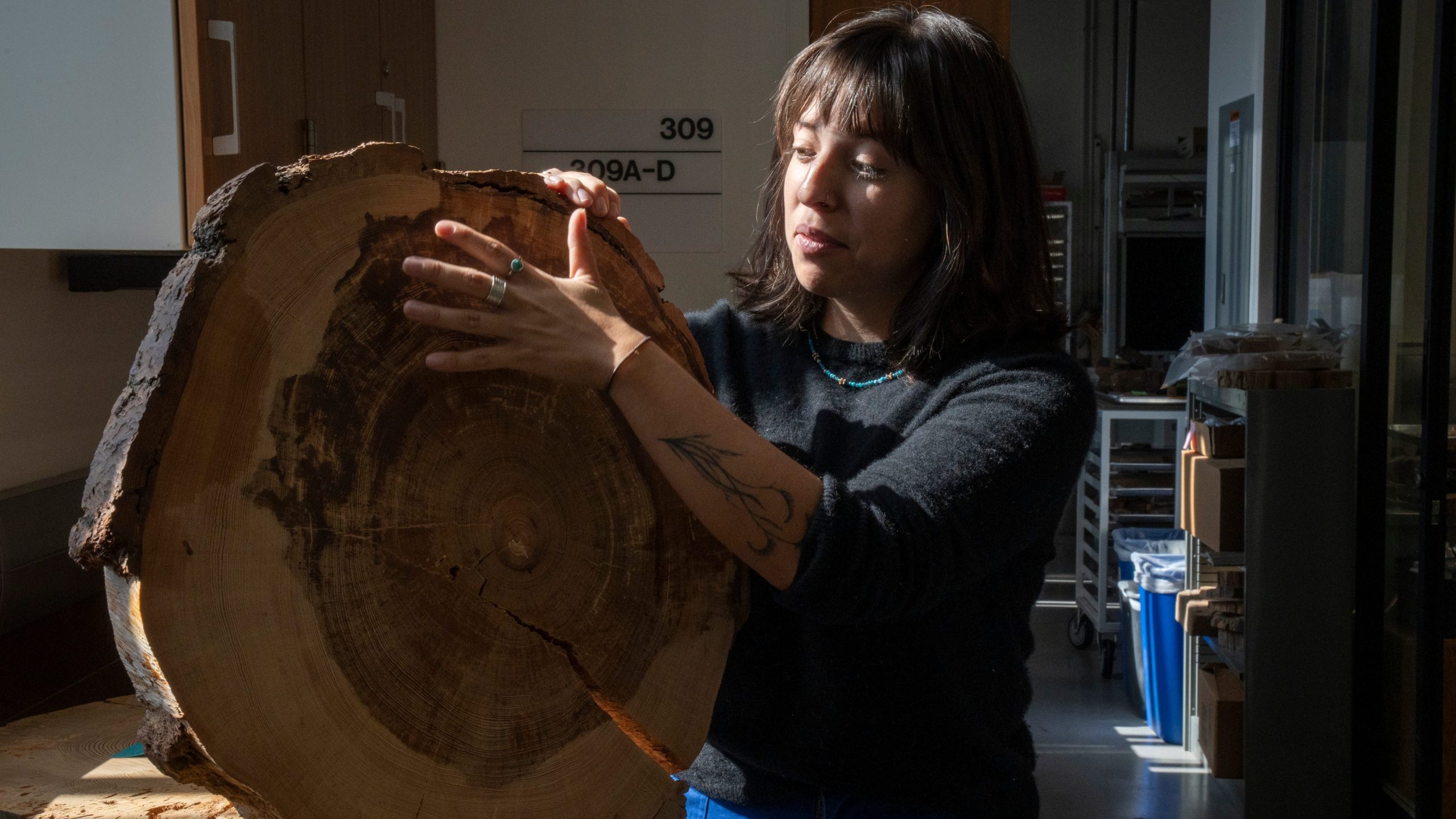 Tree Cores Reveal Historical Weather Patterns