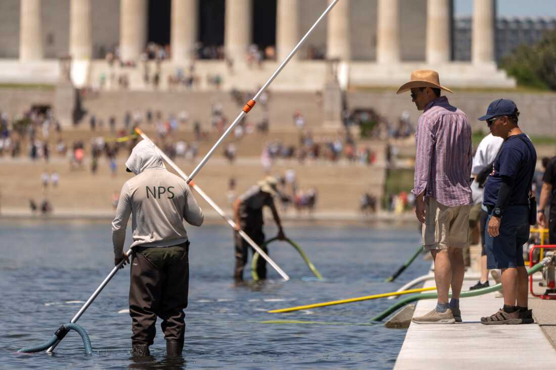 Alleged Vandalism of Lincoln Memorial Reflecting Pool Sparks Controversy