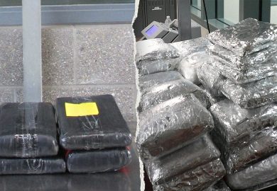 CBP Intercepts Over $300,000 in Narcotics at Southern Border