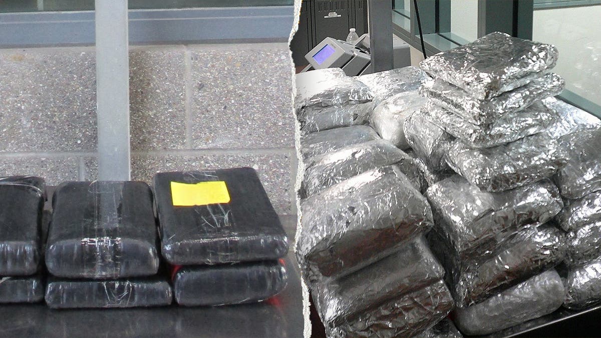 CBP Intercepts Over $300,000 in Narcotics at Southern Border