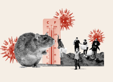 Super El Niño’s Potential Impact on Hantavirus Risk