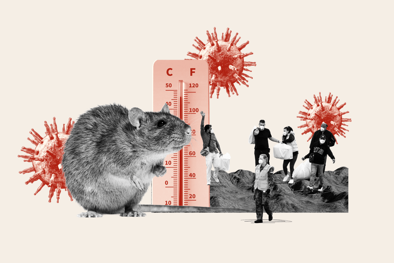Super El Niño’s Potential Impact on Hantavirus Risk