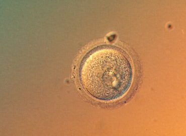Gene-Editing Breakthrough at Columbia University