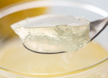 Novo Nordisk’s Price Cut on Ozempic and Wegovy