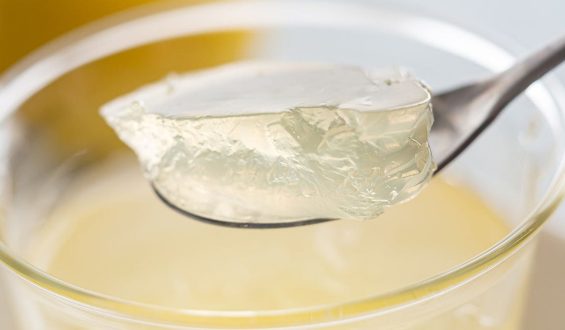 Novo Nordisk’s Price Cut on Ozempic and Wegovy