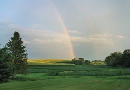Minnesota Leads States in Quality of Life, Study Finds