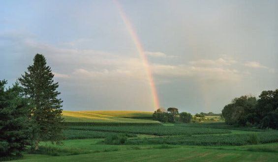 Minnesota Leads States in Quality of Life, Study Finds